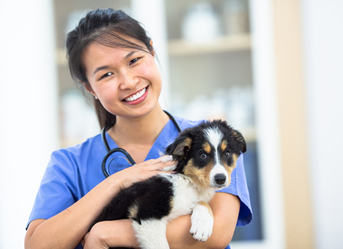 A woman in a lab coat wearing a stethoscope holds a small dog in her arms