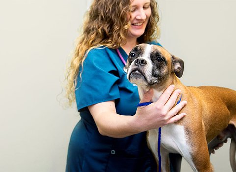 A woman with fair skin and curly blonde hair wears scrubs and holds a dog