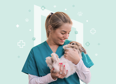 Woman with fair skin and hair pulled back, wearing scrubs and holding a rabbit, demonstrating veterinary assistant duties 