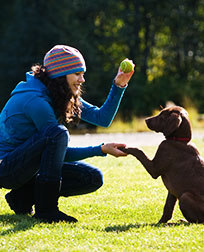 Online Dog Training Course Program Overview | Penn Foster