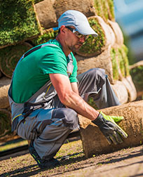professional landscaper laying sod.