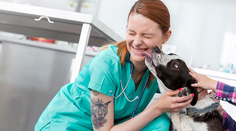veterinary assistant getting face licked by dog.