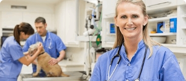 Vet techs examining patient in background with smiling tech in blue scrubs in foreground.