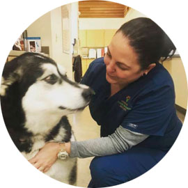 Emilie, a Penn Foster Vet Tech student, with husky.
