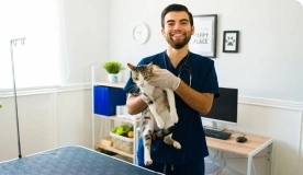 smiling vet worker holding a cat.