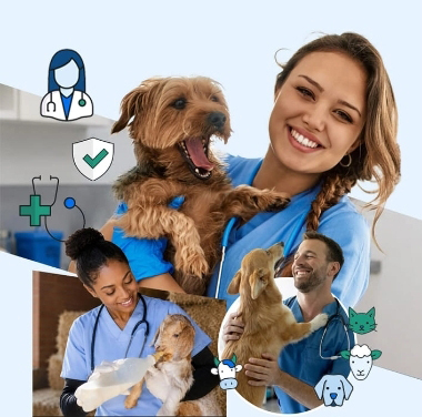 collage of vet workers with animals.