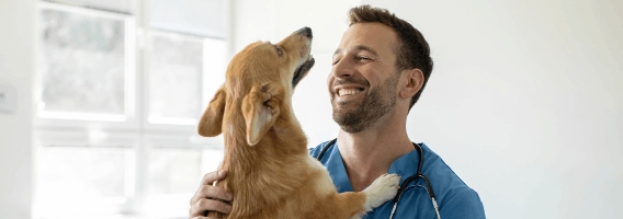 veterinary technician hold a dog.