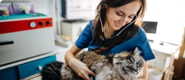 vet worker holding a cat.