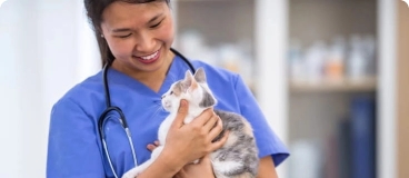 vet worker holding a cat.