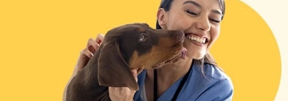 dog licking vet worker's face.