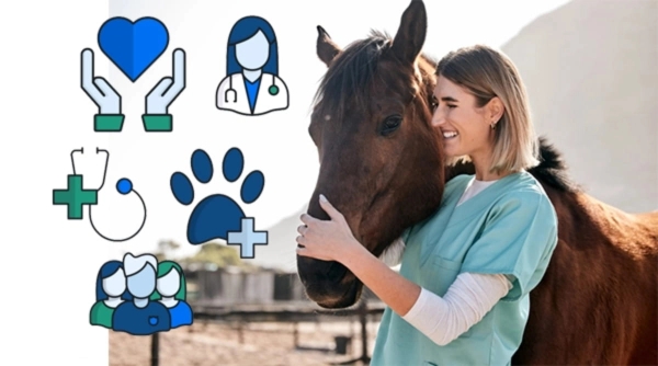 vet worker smiling and petting a horse with various medicinal signs.