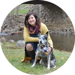 Vet Tech Externship Assistant Lindsay with dog.