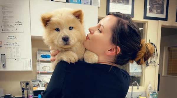 Penn Foster Vet Tech student in vet clinic holding dog.
