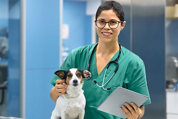 Female vet tech in green scrubs with small dog.