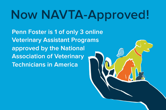 best online vet tech schools