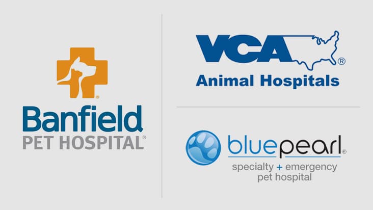Penn Foster Veterinary Assistant Program Online Veterinary Technician Degree | Penn Foster College
