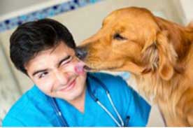 Vet Tech Career