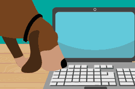 vet tech schools online
